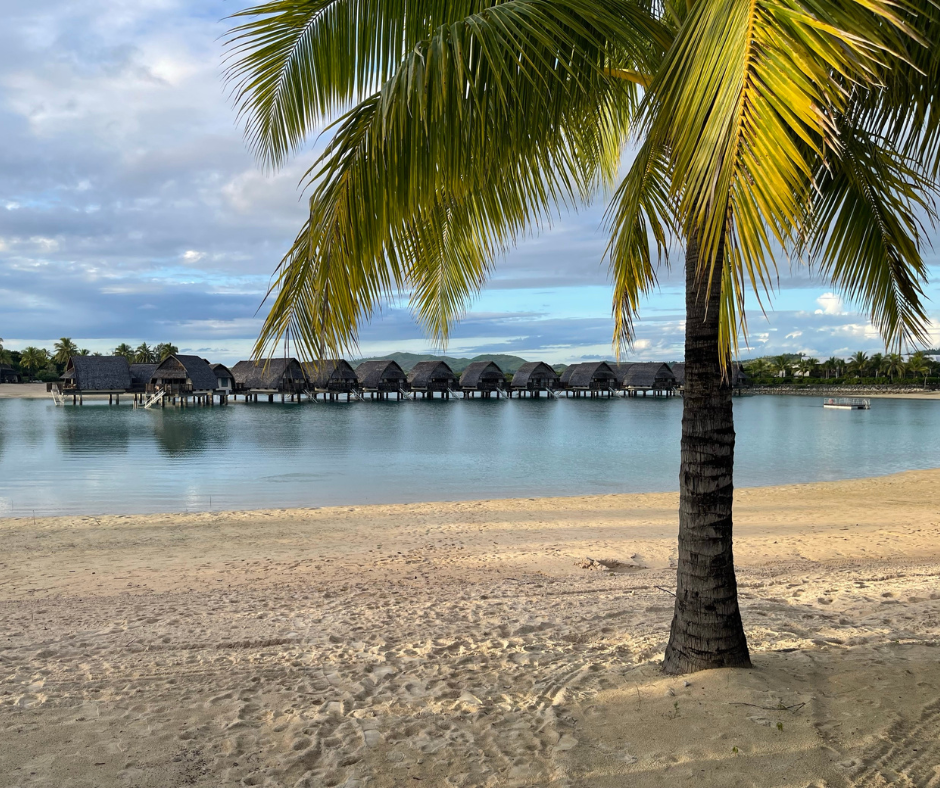 Photo of palm tree on a sandy beach in Fiji with water and huts in the background.